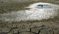 Bullas participa en un seminario internacional sobre estrategias de adaptación al cambio climático