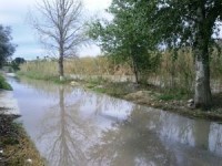 desbordamiento-del-segura-poco-antes-de-la-presa-300xXx80[1]