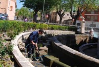 limpieza-templete-300xXx80