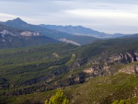 Montaña del Noroeste de Murcia