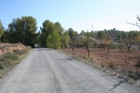 CEHEGIN. CAMINO RURAL