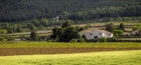 Turismo aprovecha el potencial enogastronómico para fidelizar a los residentes británicos con segunda vivienda en la Región