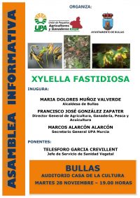 CARTEL_ASAMBLEA_BULLAS