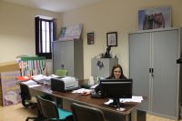 La Agencia de Igualdad del Ayuntamiento de Bullas abre de nuevo sus puertas