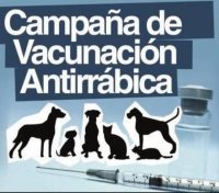 El Ayuntamiento de Moratalla informa de la campaña de vacunación antirrábica para los animales de compañia