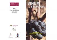 El Museo del Vino acoge la exposición ‘Vinum Terra’ de Esther Sánchez Almagro
