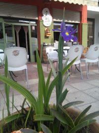 El Ayuntamiento de Moratalla emite un Bando con medidas de apoyo a la reapertura de las terrazas de bares y restaurantes