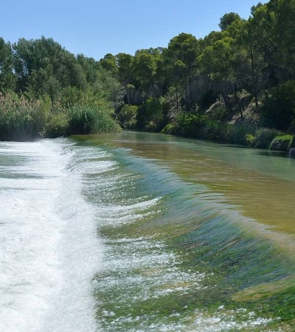 Vuelven las rutas y los paseos turísticos por la vega arrocera de Calasparra, para recibir el otoño.