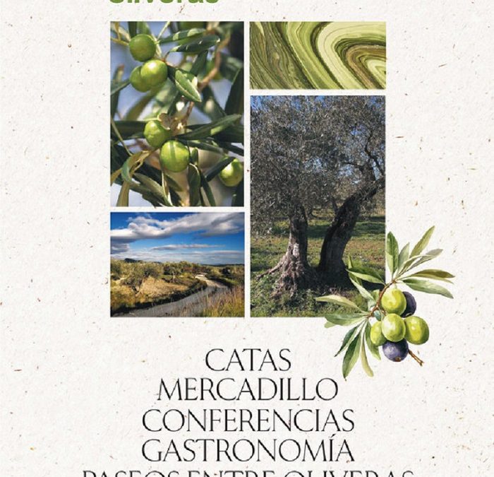 «Moratalla Entre Oliveras»  ya es una realidad