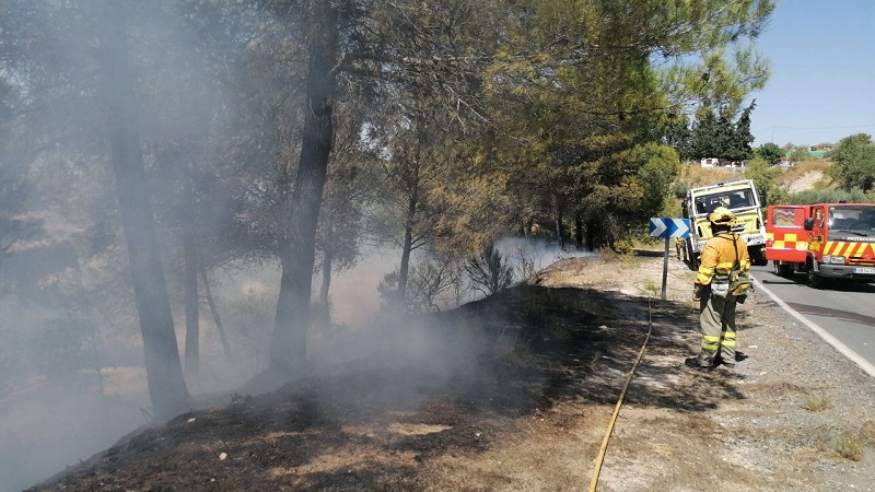 Operativos adscritos al Plan Infomur apagan dos conatos de incendio forestal y agrícola en las inmediaciones del Rio Mula, termino municipal de Bullas.