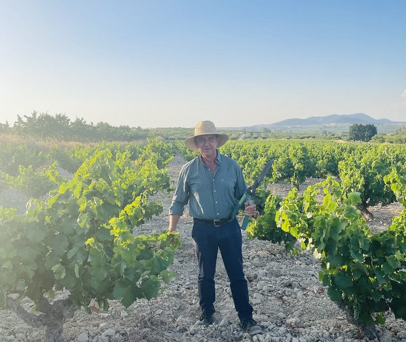 Pedro Sánchez Pujante, nombrado Maestro del Vino de Bullas 2025