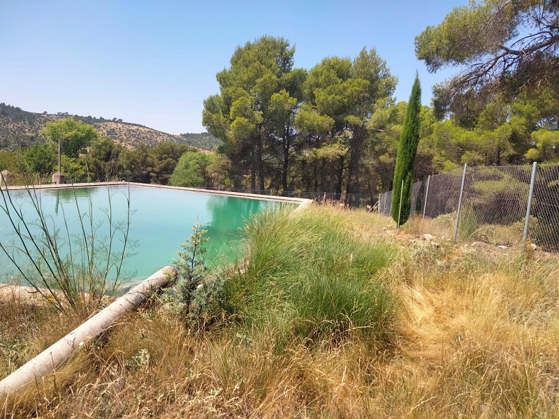 Medio Ambiente creará un reservorio de plantas aromáticas en el vivero forestal de Moratalla