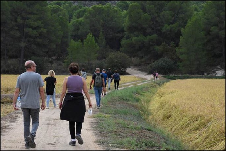 CALARROZ 2025: RUTAS Y VISITAS GUIADAS PARA CELEBRAR LOS DÍAS DE COSECHA DEL ARROZ CON DOP CALASPARRA