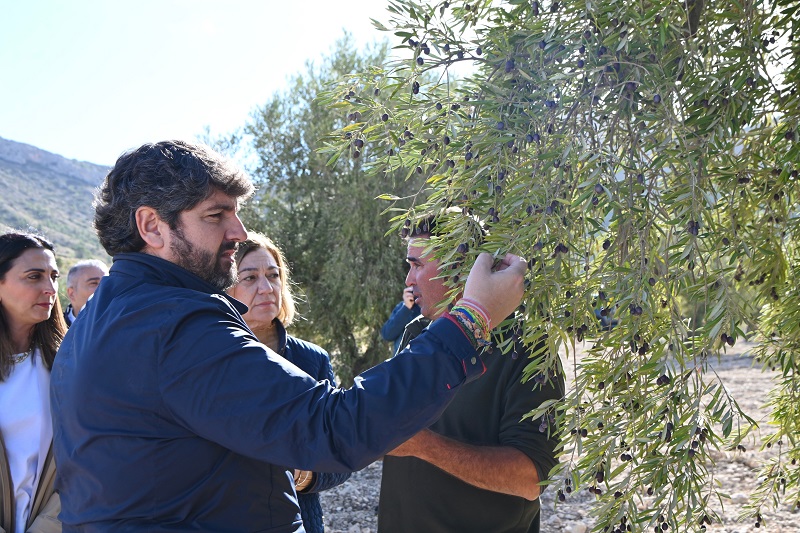 López Miras anuncia 7 millones de euros en ayudas a agricultores y ganaderos por la sequía