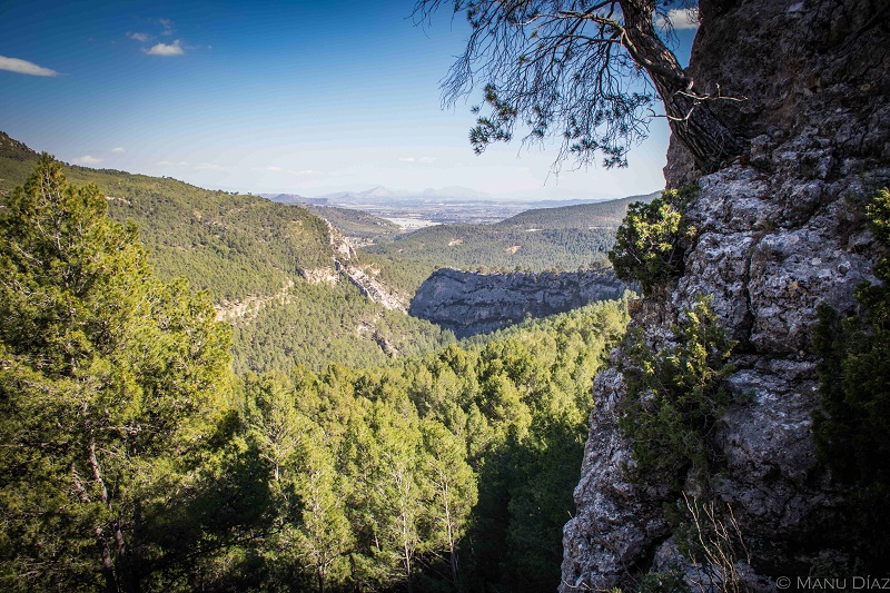 Restringido de forma temporal el acceso de vehículos a motor en el barranco de Hondares para proteger la reproducción del águila real