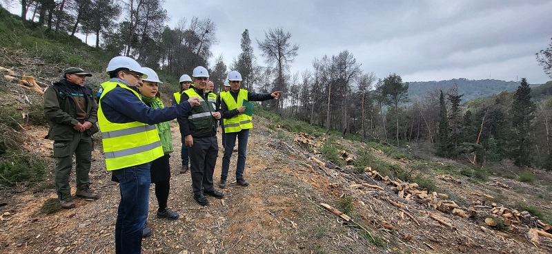 El Gobierno regional impulsa en 2026 la mayor inversión forestal de su historia para frenar el decaimiento y prevenir incendios