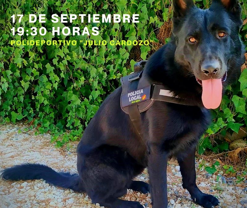 Este viernes se realizará la presentación y exhibición de la patrulla canina de la Policía Local de Moratalla