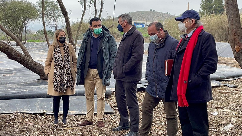 La Confederación Hidrográfica del Segura restaura parte del río Argos a su paso por Cehegin