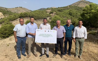 Ejecutivo regional y sector forestal piden al Gobierno de España que considere la selvicultura como actividad compensatoria de emisiones de CO2