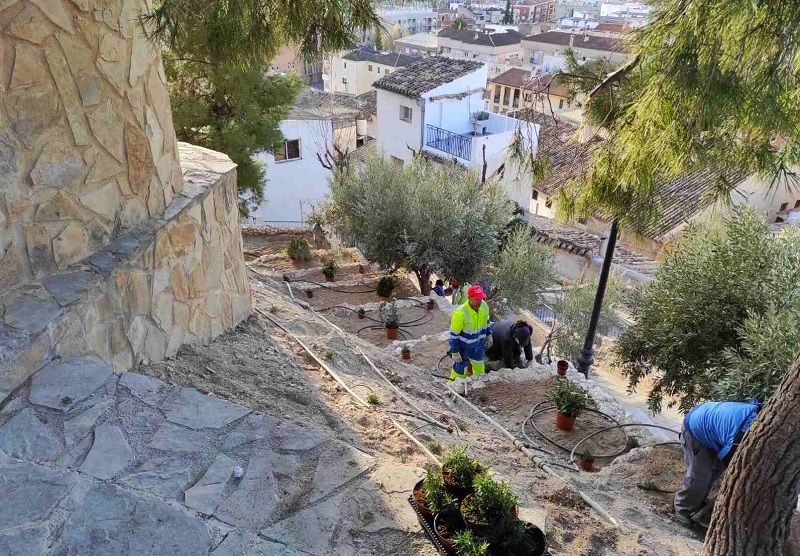 El Ayuntamiento de Caravaca planta 500 nuevos árboles y arbustos en zonas verdes del casco urbano y pedanías