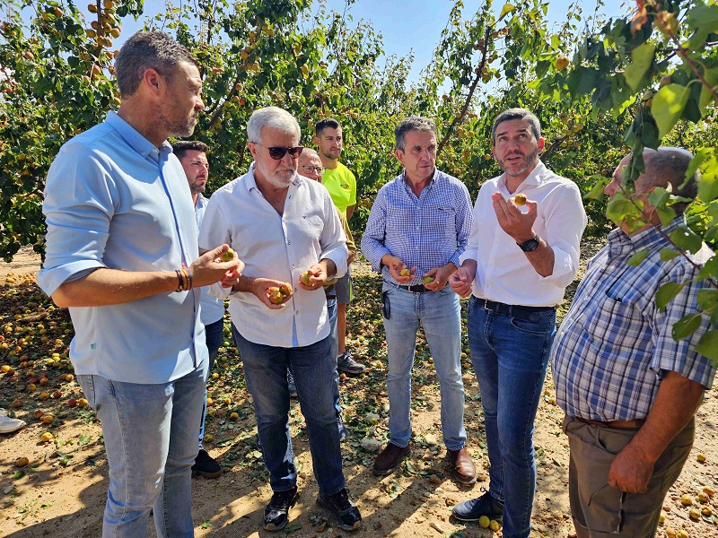 La Región de Murcia y el Ayuntamiento de Caravaca solicitarán al Gobierno central la declaración de zona catastrófica para el área afectada por la granizada