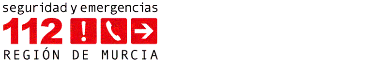 Herido un militar tras ser atropellado por un turismo en Caravaca de la Cruz