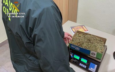 La Guardia Civil desmantela un invernadero de marihuana en una vivienda de Bullas