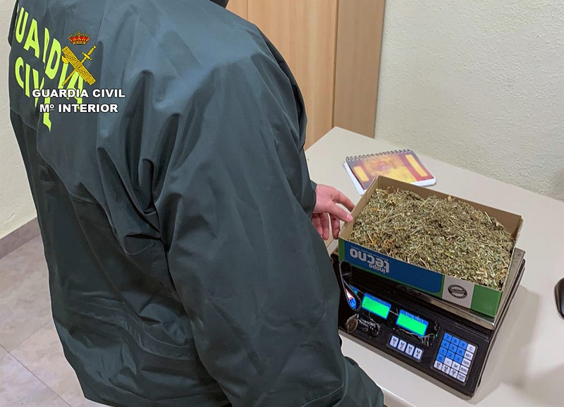 La Guardia Civil desmantela un invernadero de marihuana en una vivienda de Bullas