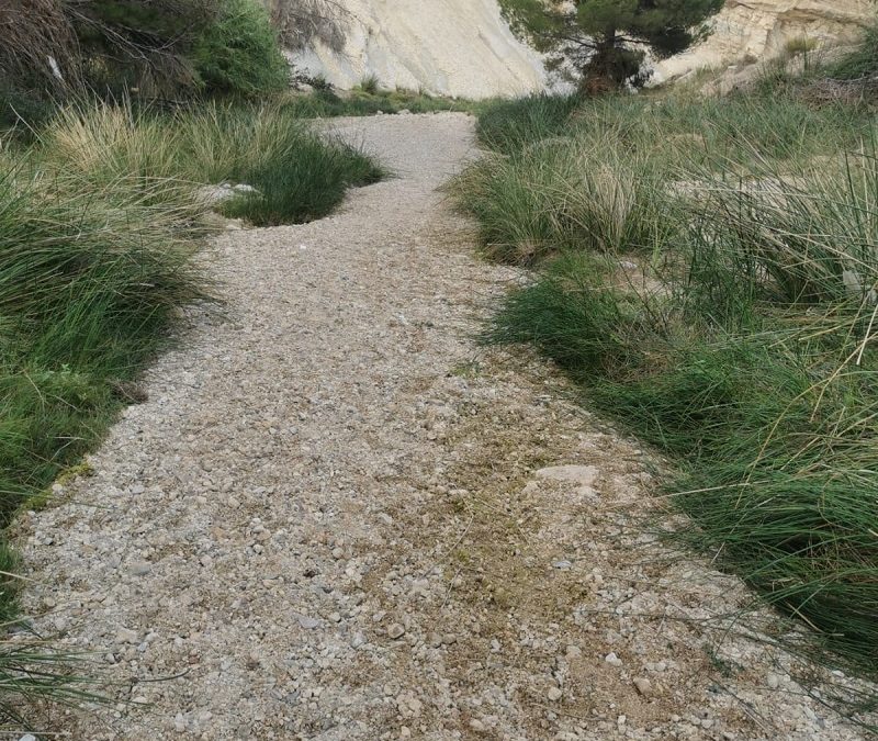 Jornada de protesta y denuncia: En defensa de fuentes y manatiales. “Los pozos nos dejan secos”