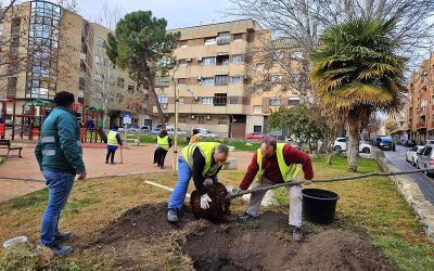 El Ayuntamiento de Caravaca planta cerca de un centenar de árboles en calles, jardines y colegios del municipio