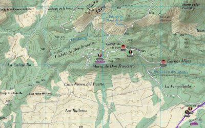 Fallece un trabajador al caerle encima un árbol en un monte en Cehegín
