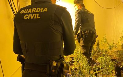 Desmantelado un invernadero de marihuana en una vivienda del casco antiguo de Calasparra